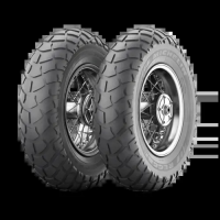 Шины michelin-reggae